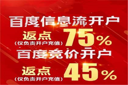 百度推广排名解析：某知名品牌成功上位的秘诀